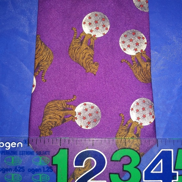 Silk Tie - Picture 8 of 8